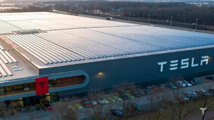 Tesla: si ferma la produzione nella GigaFactory di Berlino per un blackout causato da un incendio doloso