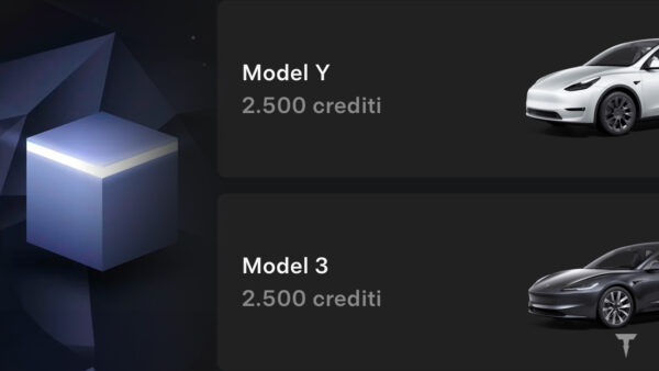 programma referral tesla peggiorato