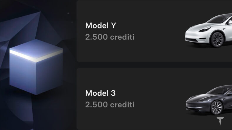 programma referral tesla peggiorato