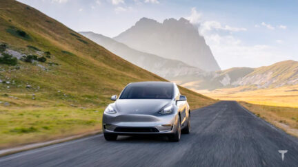 tesla model y interessi germania