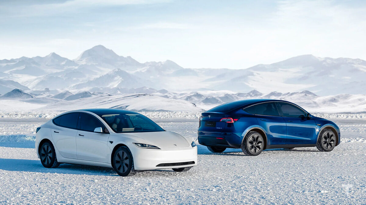 tesla model y model 3