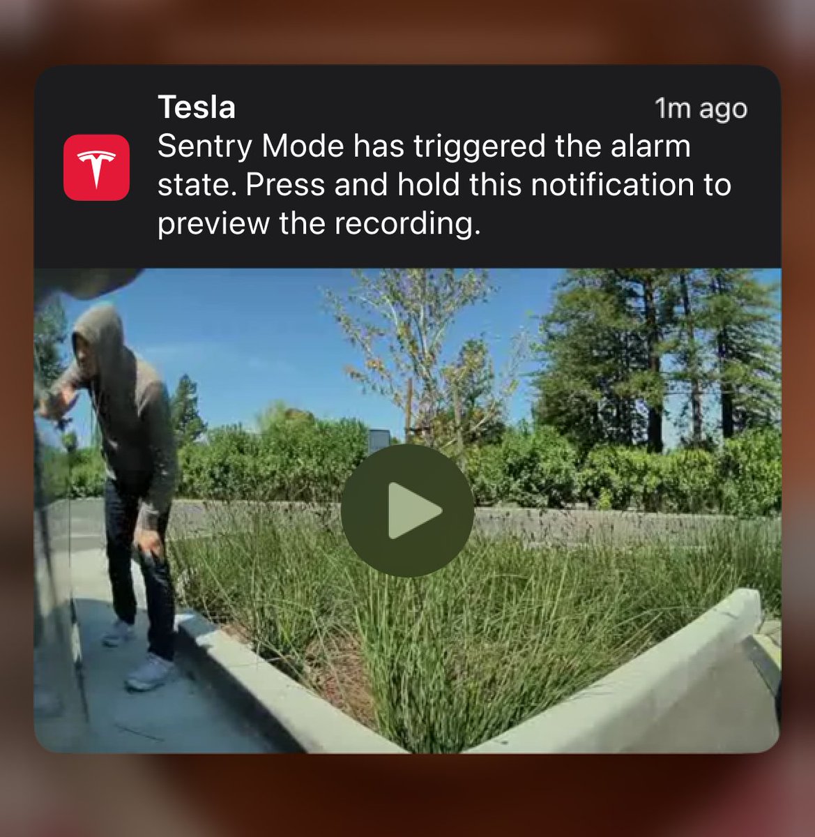 tesla notifiche modalita sentinella