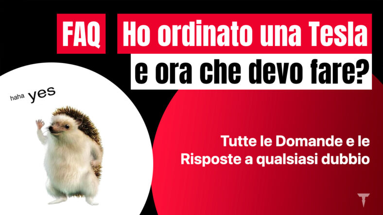 teslers domande e risposte acquisto tesla incentivi