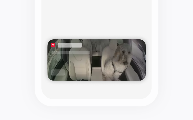 Attività in tempo reale per la Modalità cane su iOS