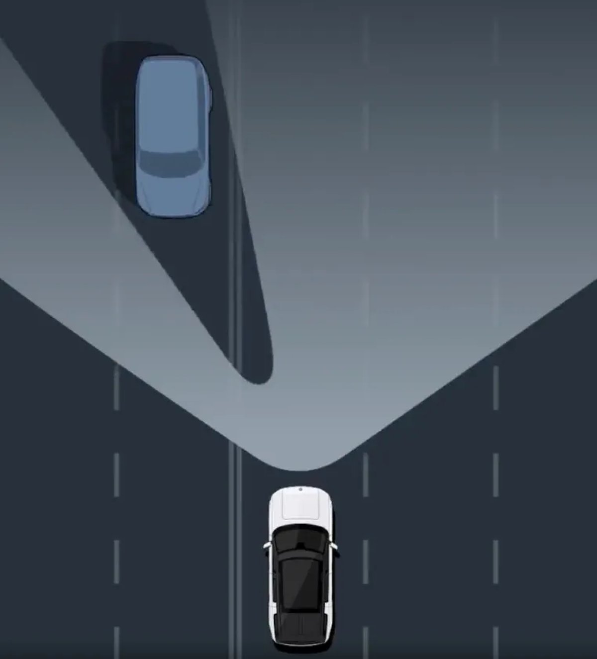 Tesla costretta a richiamare quasi 20.000 Model 3 e Model Y: gli anabbaglianti sono troppo luminosi e non basta un update — screenshot 1