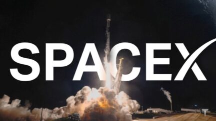 SpaceX presenta i primi conti da società quotata: 7,81 miliardi di ricavi, Starship ogni giorno e Starlink a 12 milioni di utenti