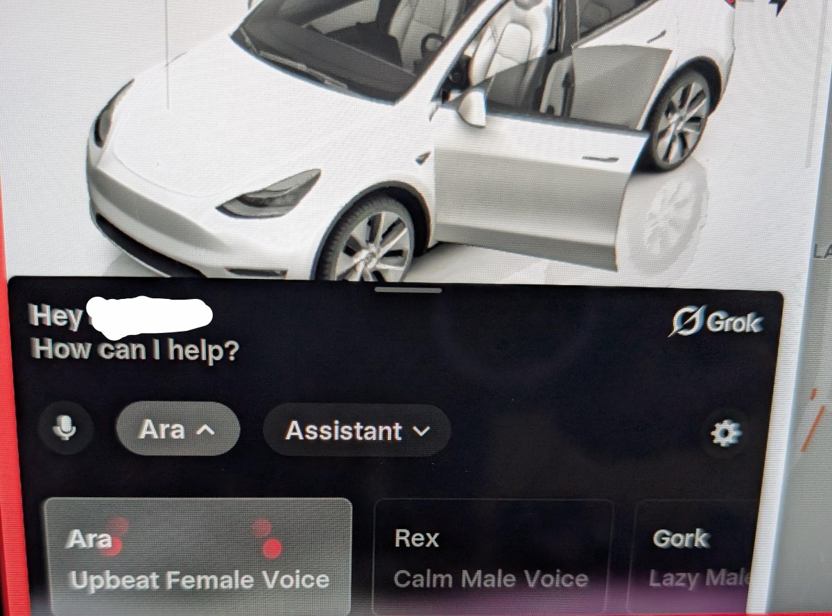 Grok potrà inviare messaggi di testo sulle Tesla: la nuova funzione spunta nel manuale d’uso — screenshot 1