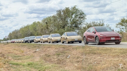 Tesla, i Cybercab invadono il GP di Formula 1 di Austin: nuovo record di avvistamenti senza conducente