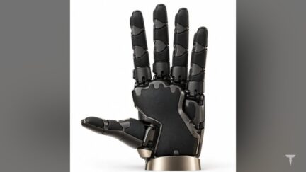 Optimus avrà il senso del tatto: un brevetto Tesla svela i sensori flessibili per le mani del robot