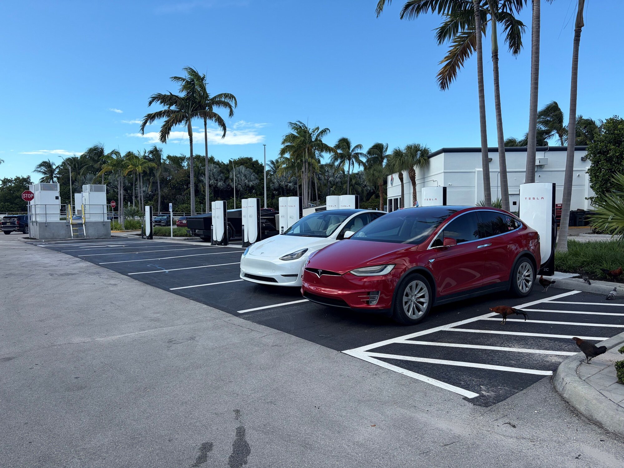 Tesla annuncia 36 nuovi Supercharger scelti dai proprietari: in Italia vince Agrigento — screenshot 2